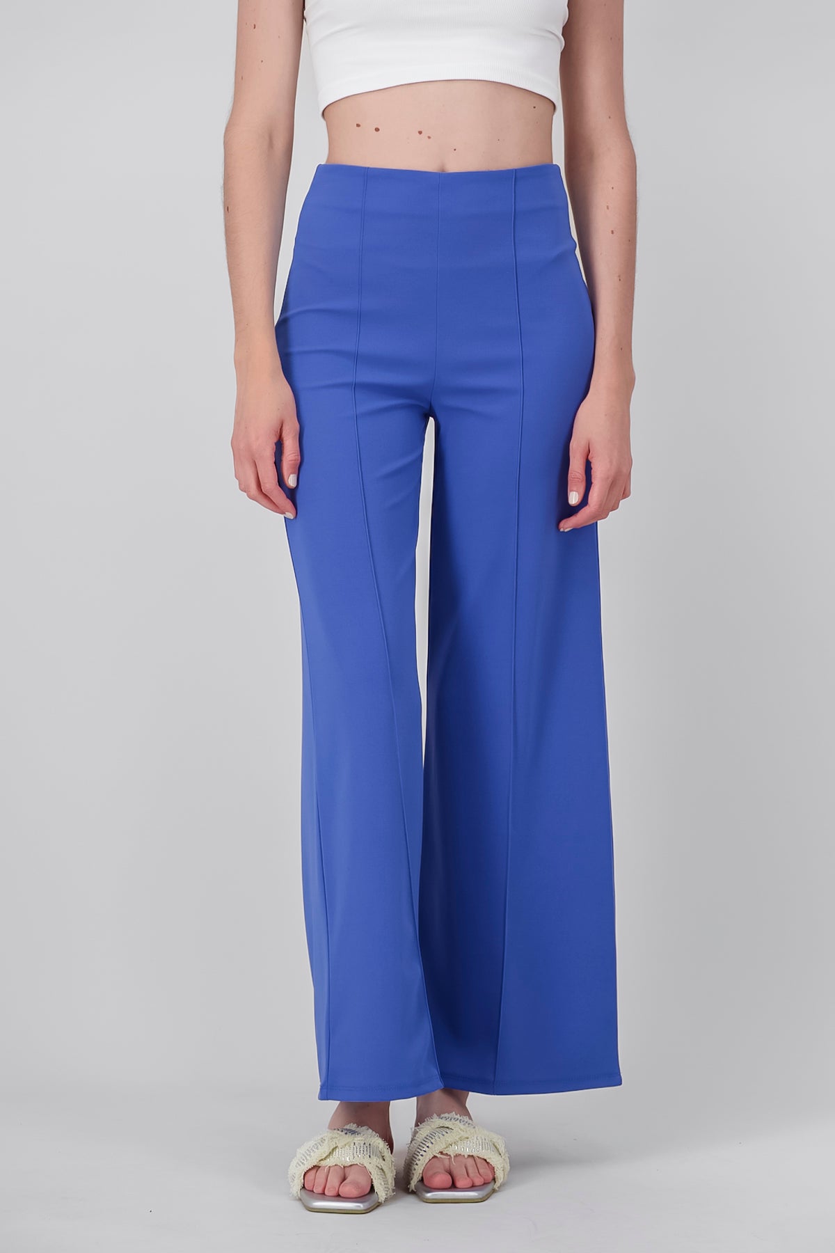 Pantalón Wide Leg Cintura Alta Costuras AZUL PATO