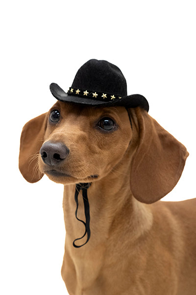 Chiceta Pet Vaquero Hat BLACK