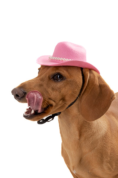 Sombrero vaquero para mascota perlas chico ROSA