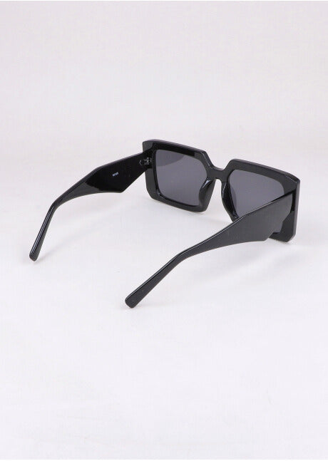Oversize Asymmetric Patilla Lenses MULTICOLORED
