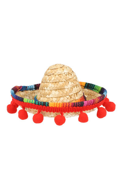 Mexican pet hat MULTICOLORED