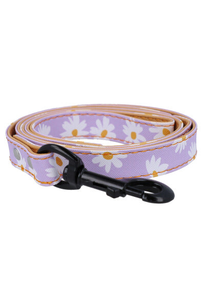 Margaritas pet belt PURPLE