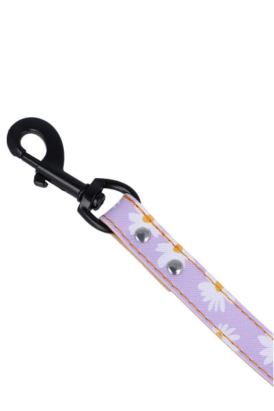 Margaritas pet belt PURPLE