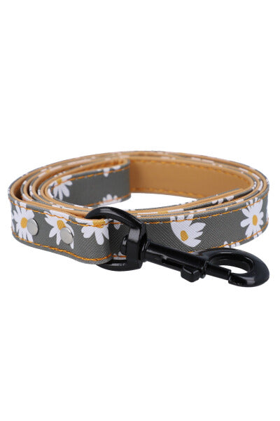 Margaritas pet belt GREY