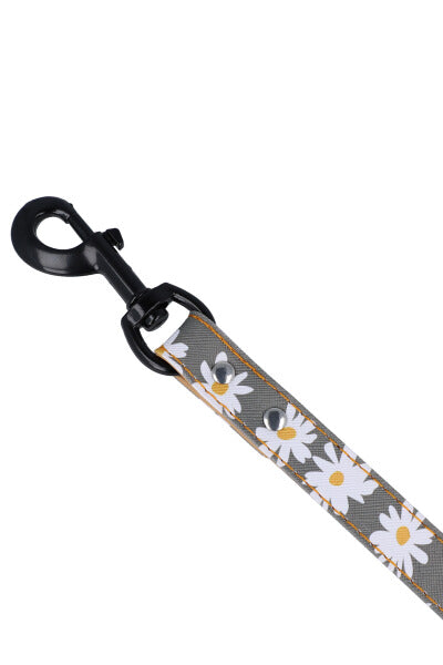 Margaritas pet belt GREY