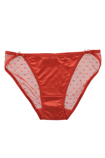 Bikini satin mesh mini polkas buckle BRICK