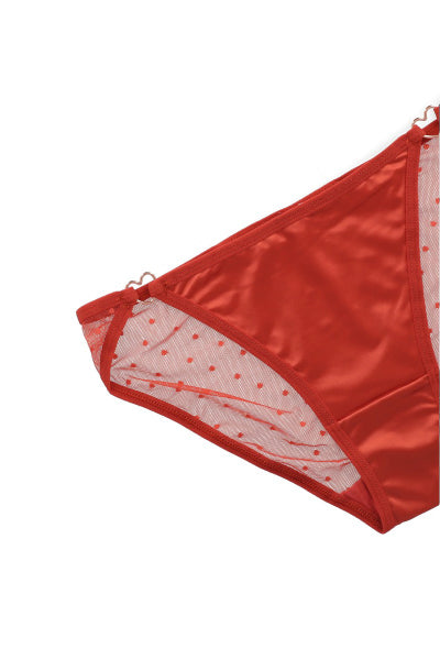 Bikini satin mesh mini polkas buckle BRICK