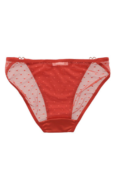 Bikini satin mesh mini polkas buckle BRICK