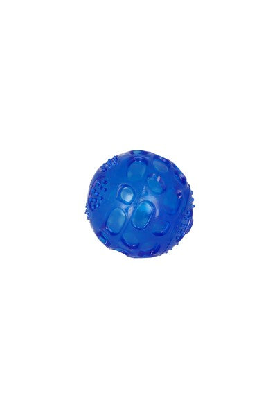 Pet ball toy BLUE