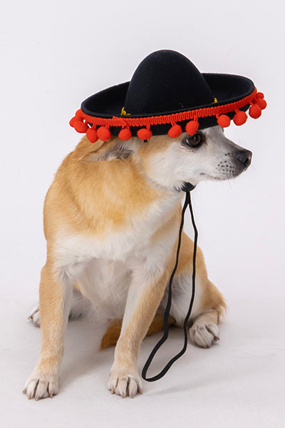 Mariachi Basse Pet Hat BLACK