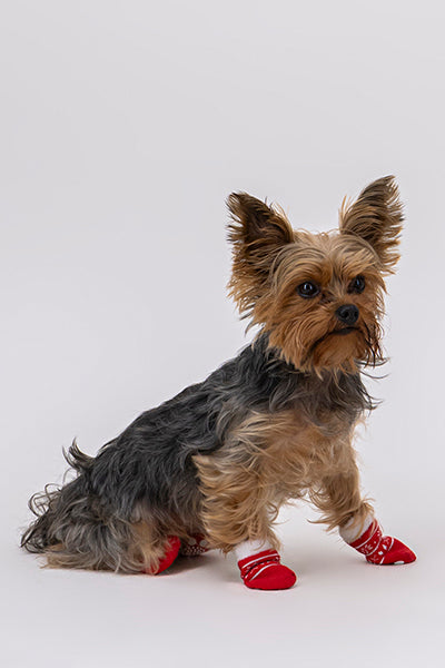 Calcetines Mascota Navideños ROJO