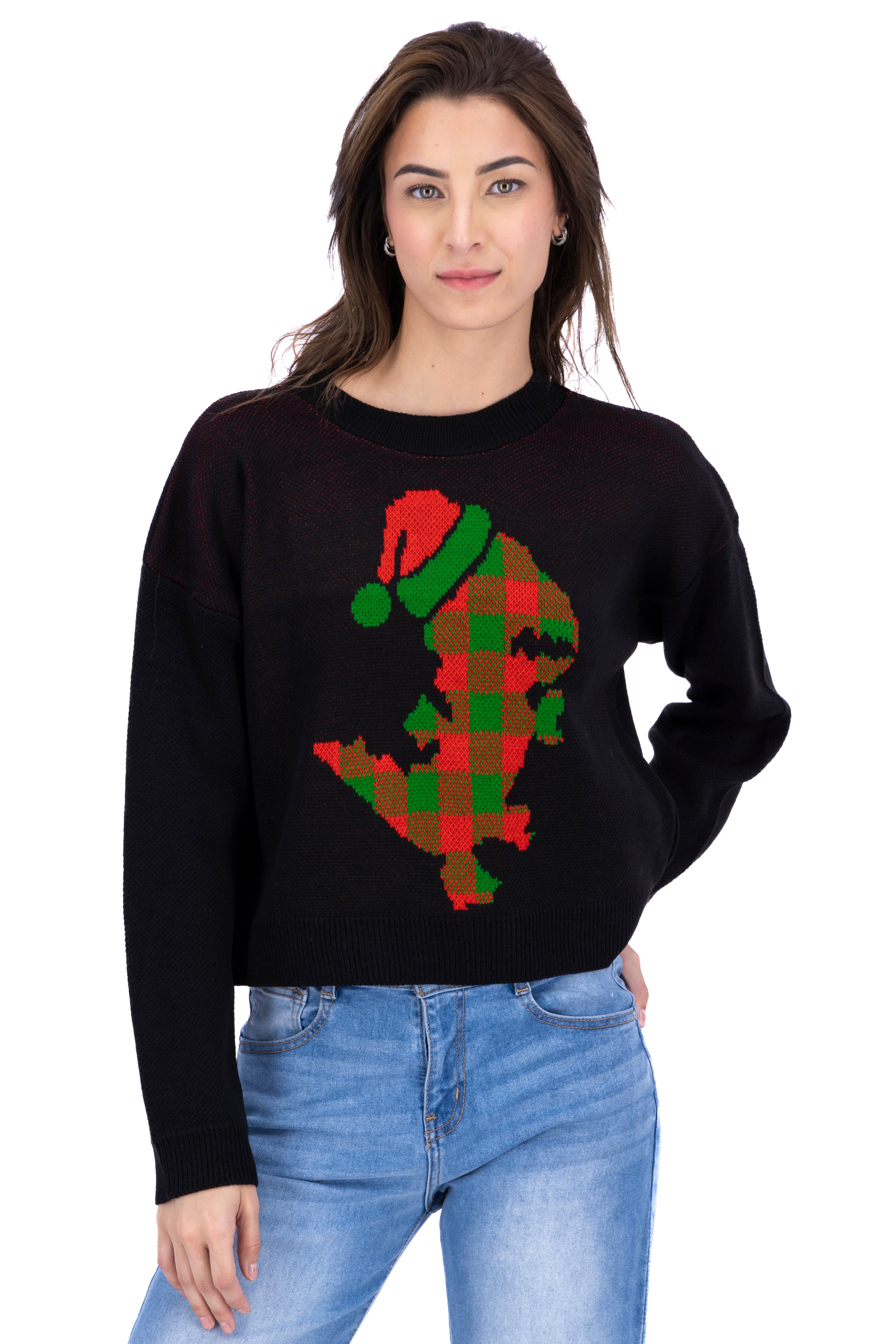 Christmas sweater Dinosaur Black Combo