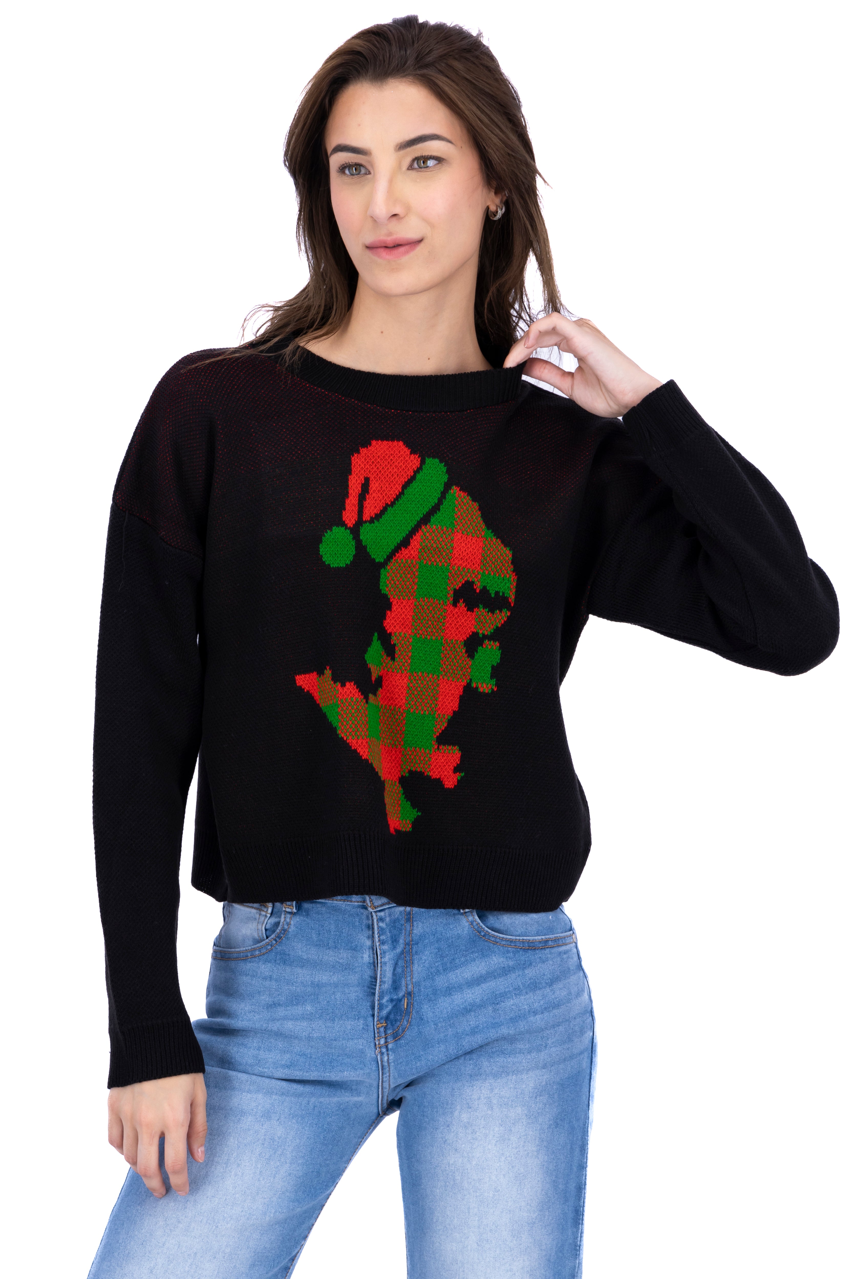 Christmas sweater Dinosaur Black Combo