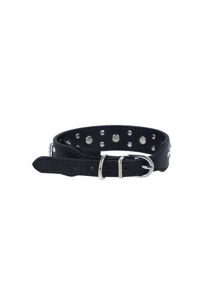 Pet collar traces shine BLACK