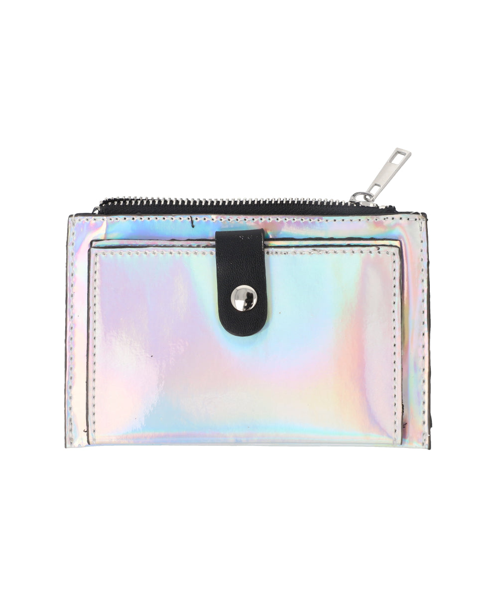 Cartera Alargada PLATA