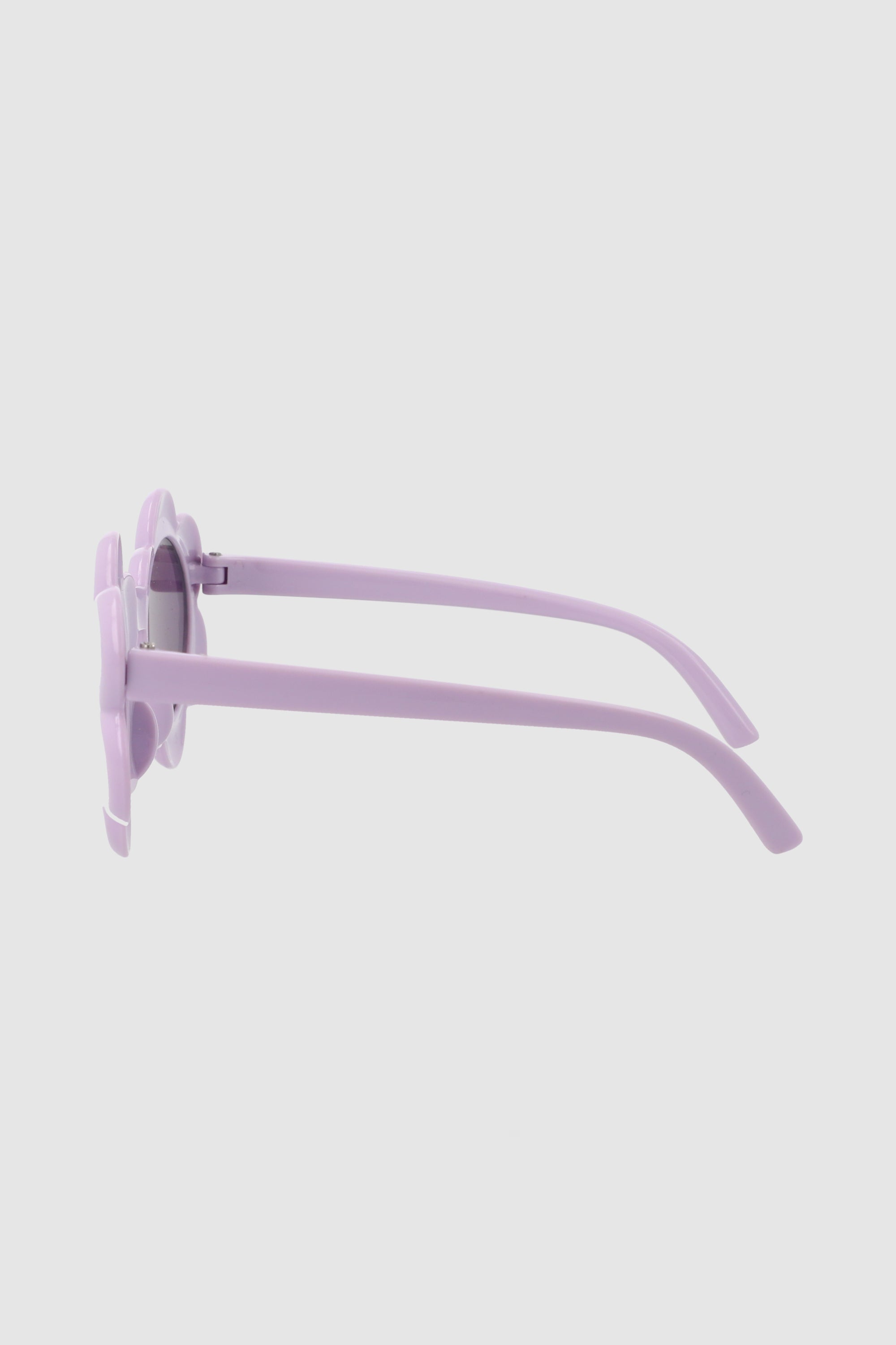 Lentes Para Mascota MORADO