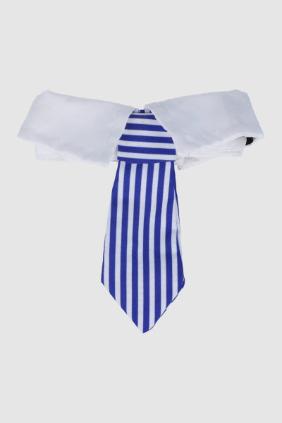 Corbata Para Masocta AZUL