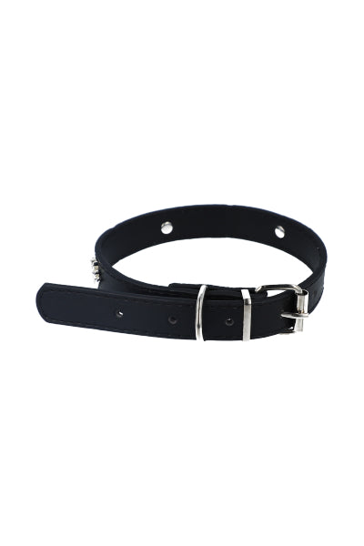 Collar Para Mascota  Coronas Brillos NEGRO