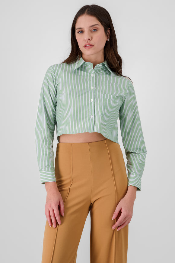 VERDE COMBO