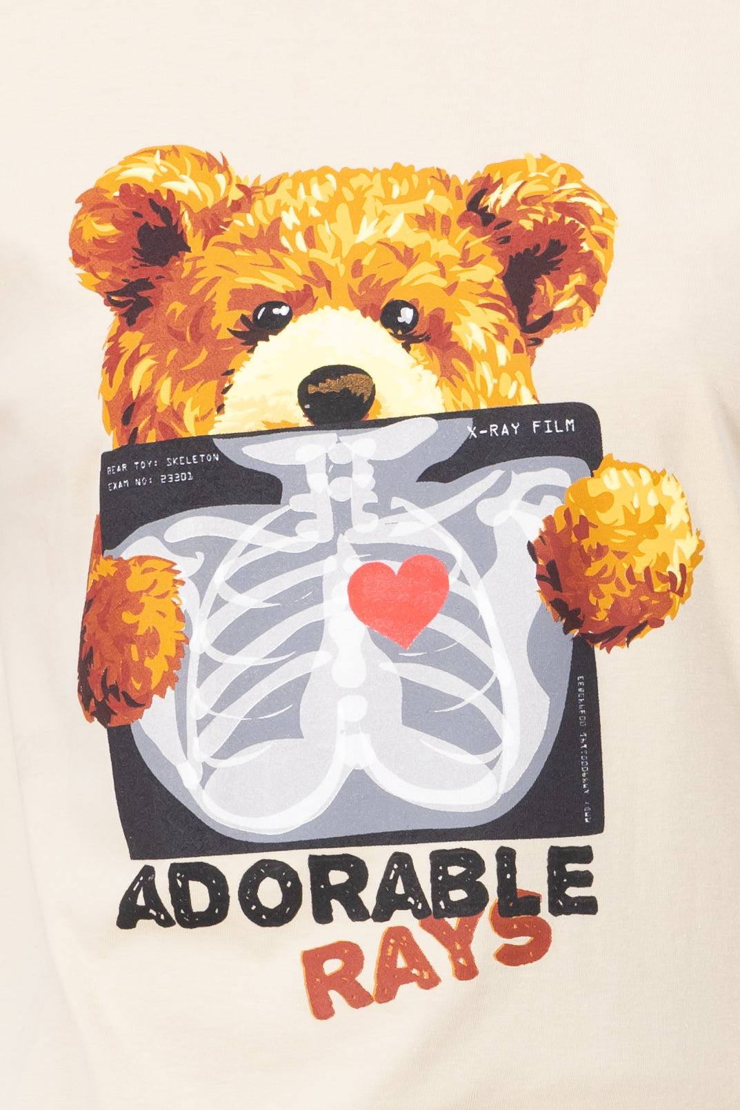 X -ray Bear bears BEIGE