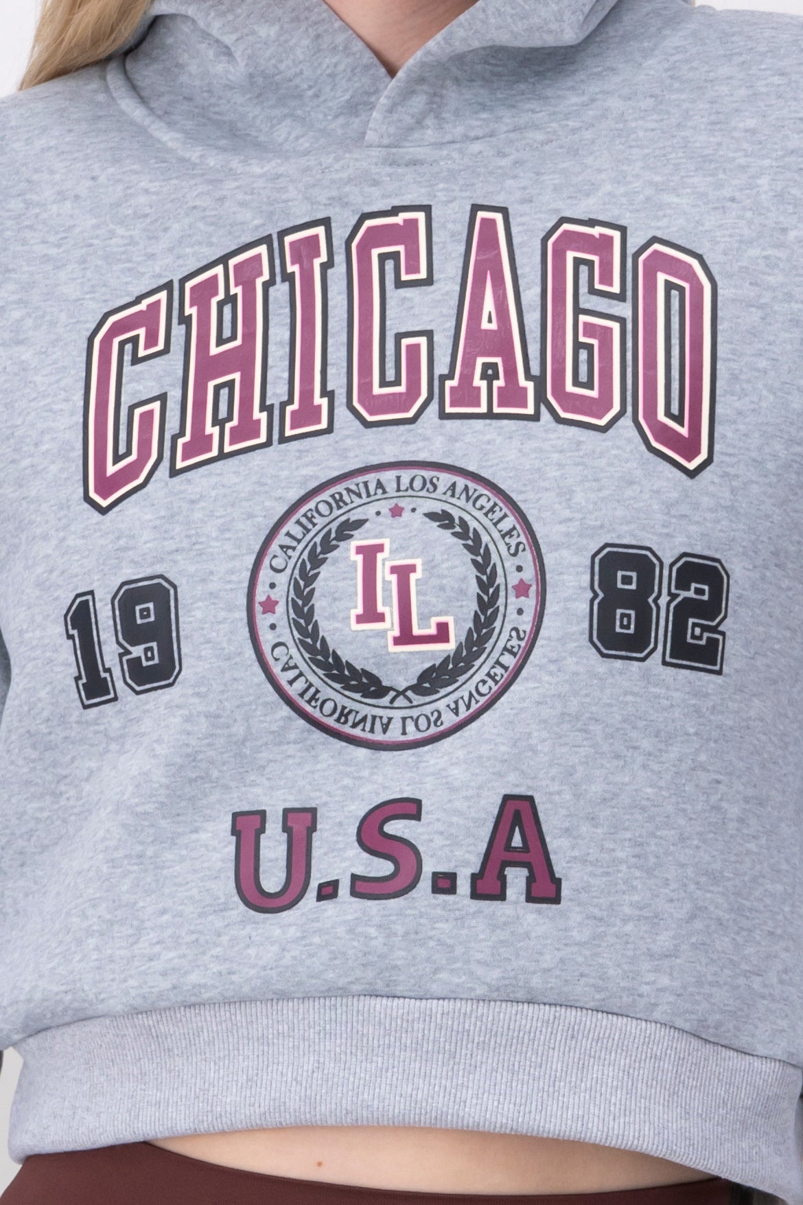 Chicago Print Crop Sweatshirt GREY