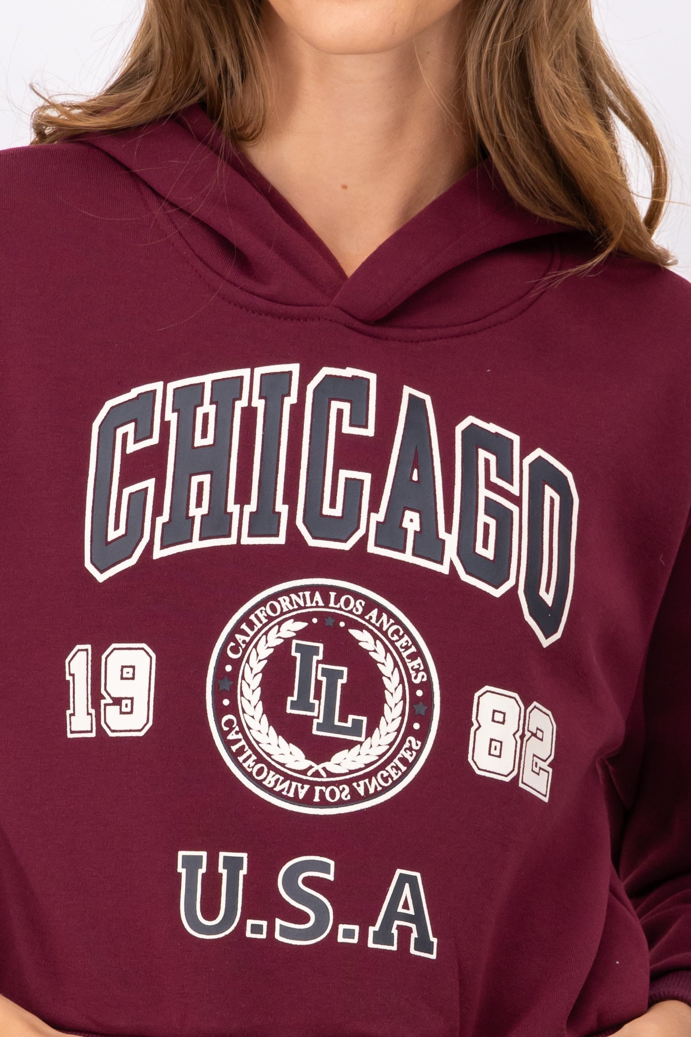 Chicago Print Crop Sweatshirt CAME