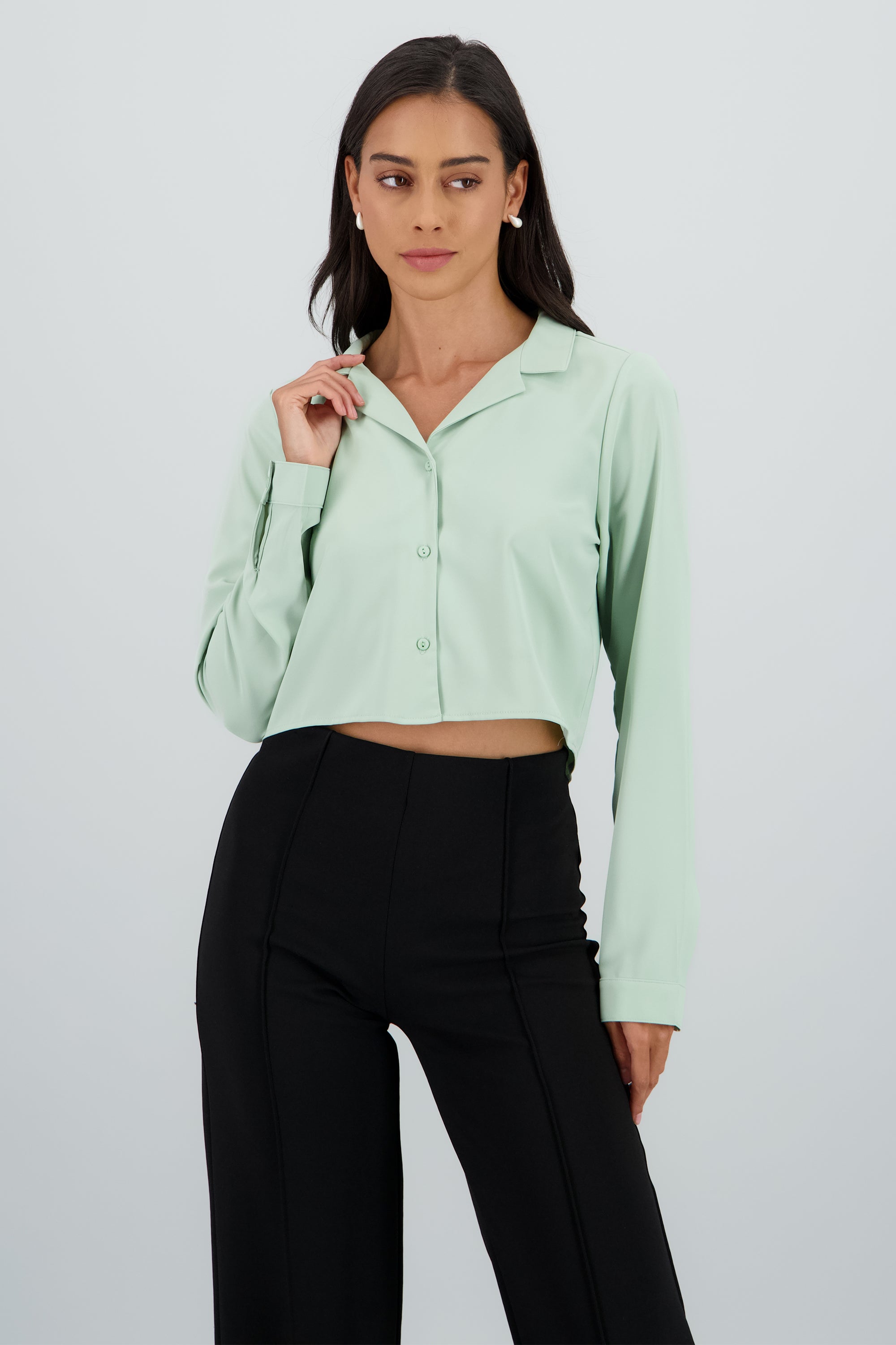 Camisa Lisa Manga Larga MENTA