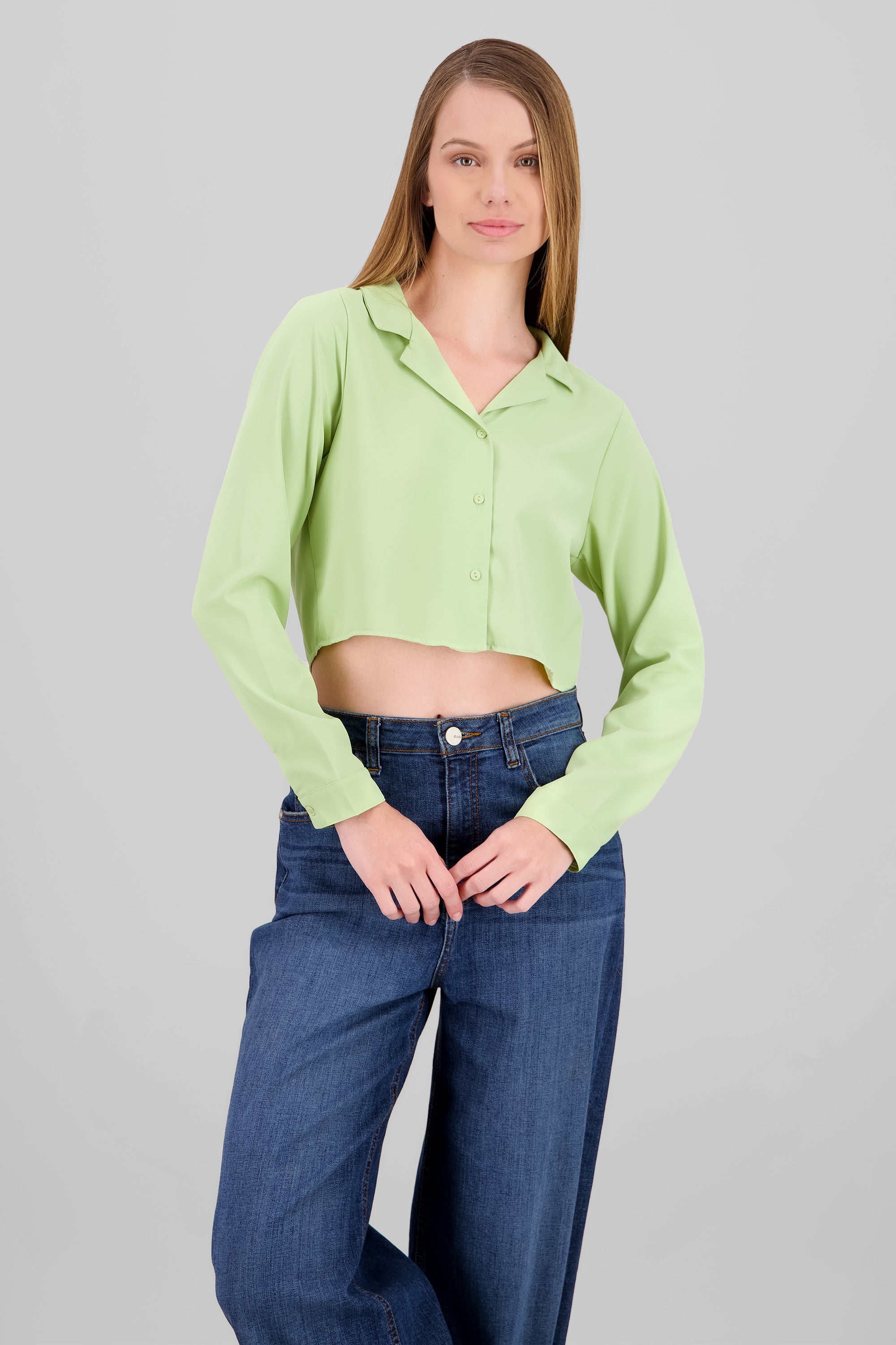 Camisa Lisa Manga Larga VERDE CLARO