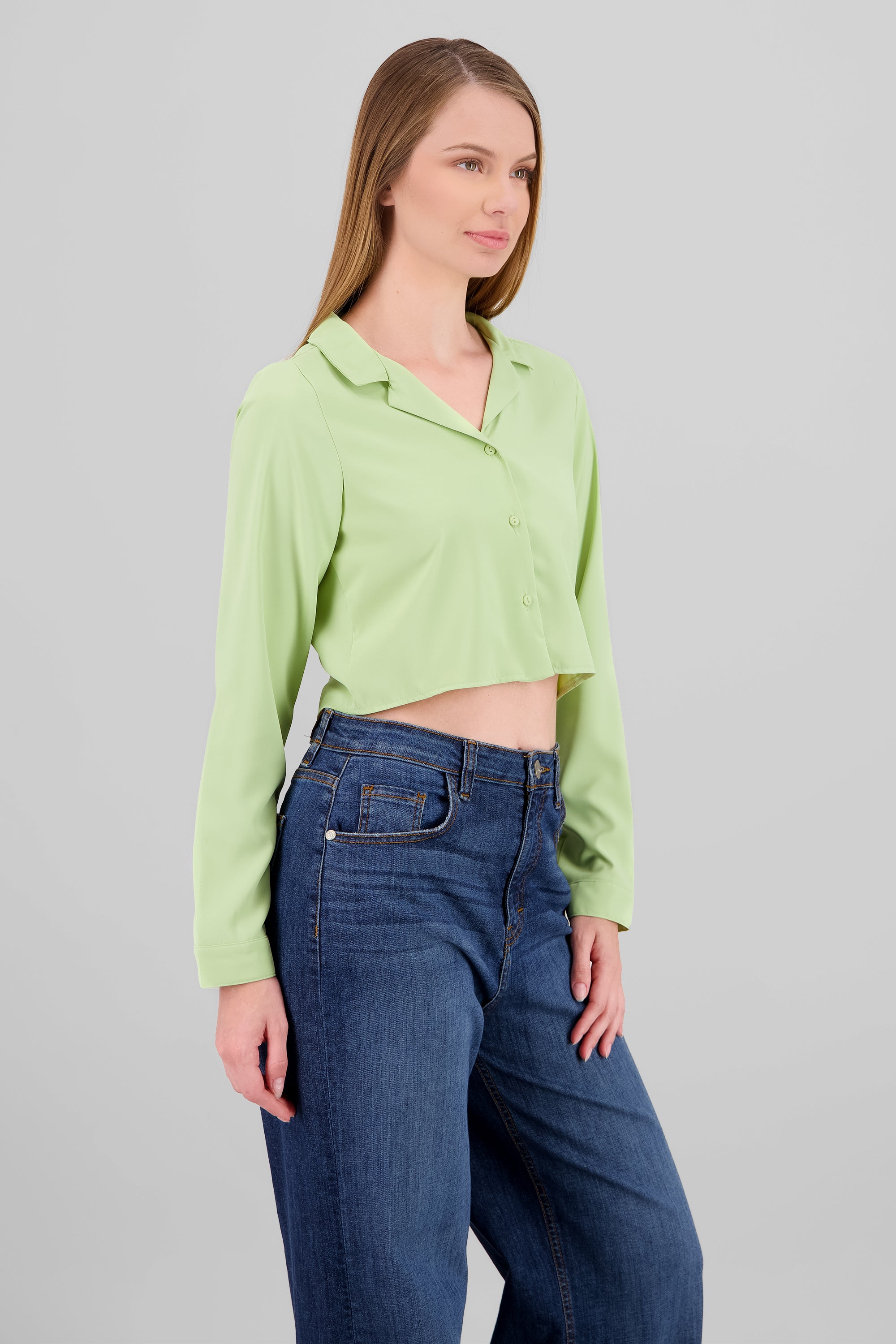 Camisa Lisa Manga Larga VERDE CLARO
