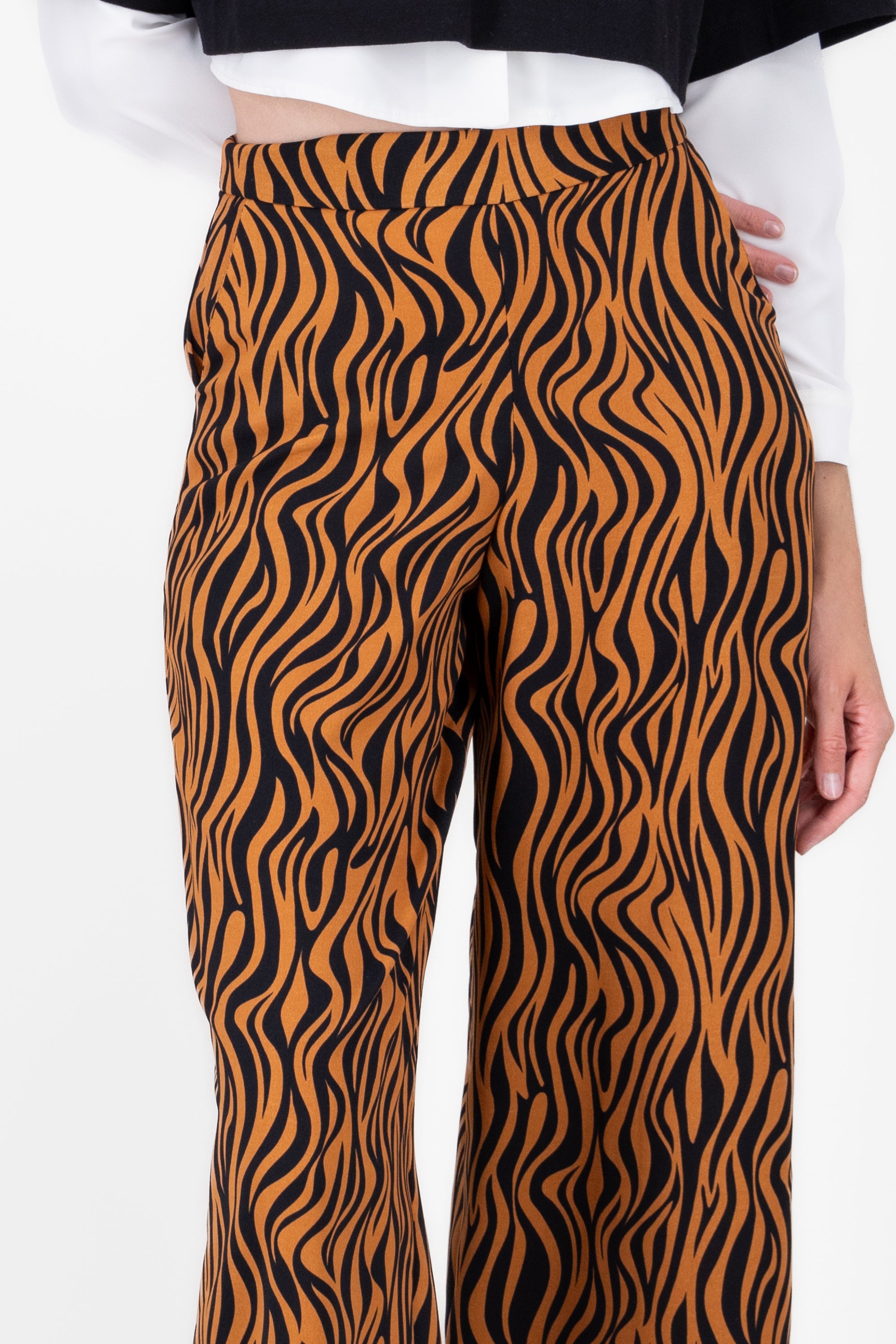 Hypsters Zebra Pants CAFE COMBO