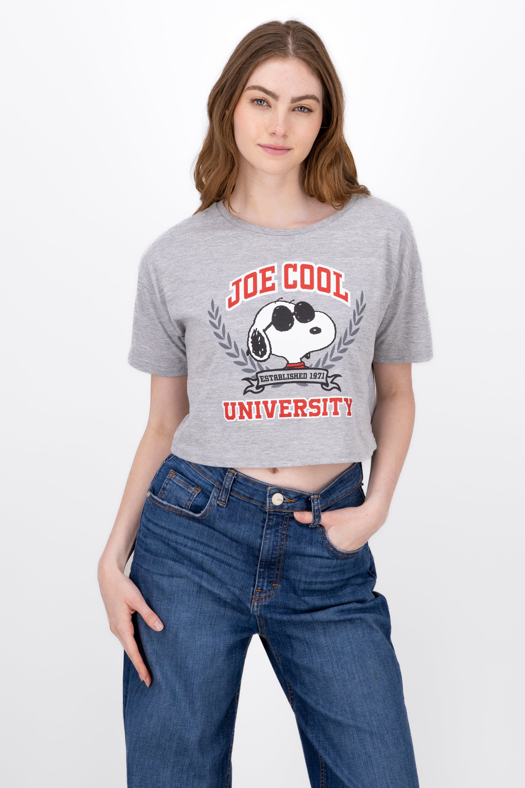 Snoopy University shirt Jaspe Gray