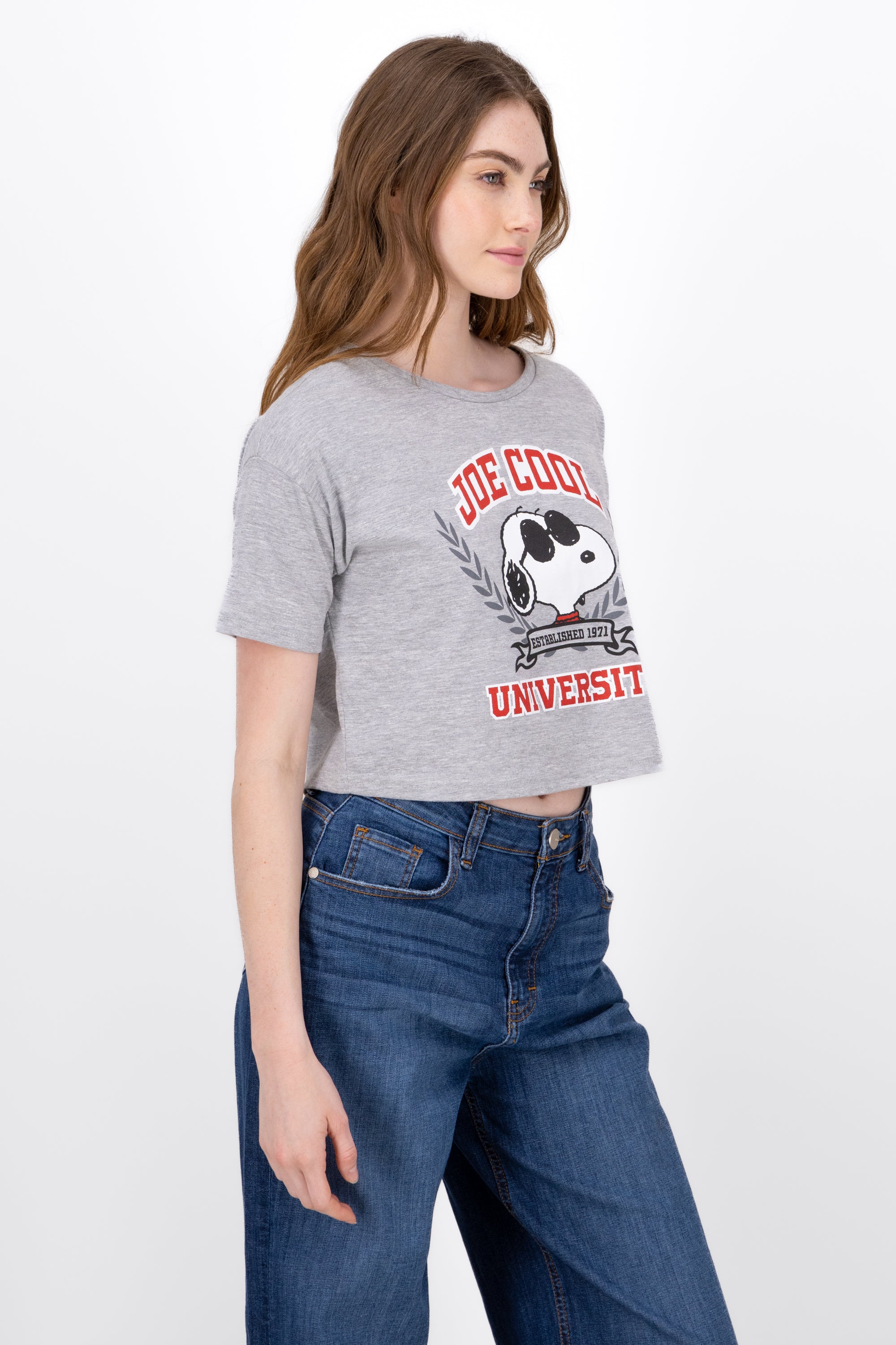 Snoopy University shirt Jaspe Gray