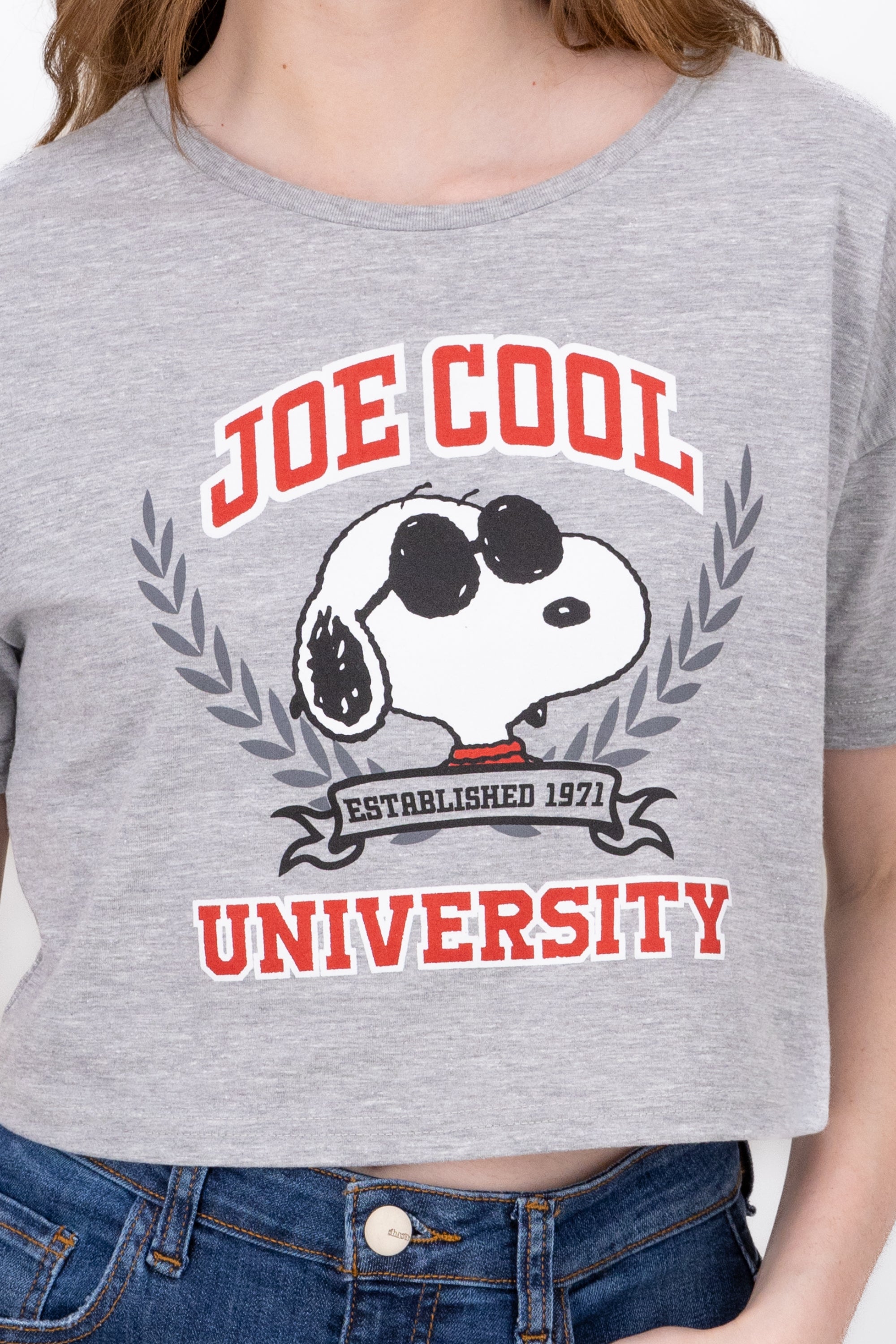 Snoopy University shirt Jaspe Gray