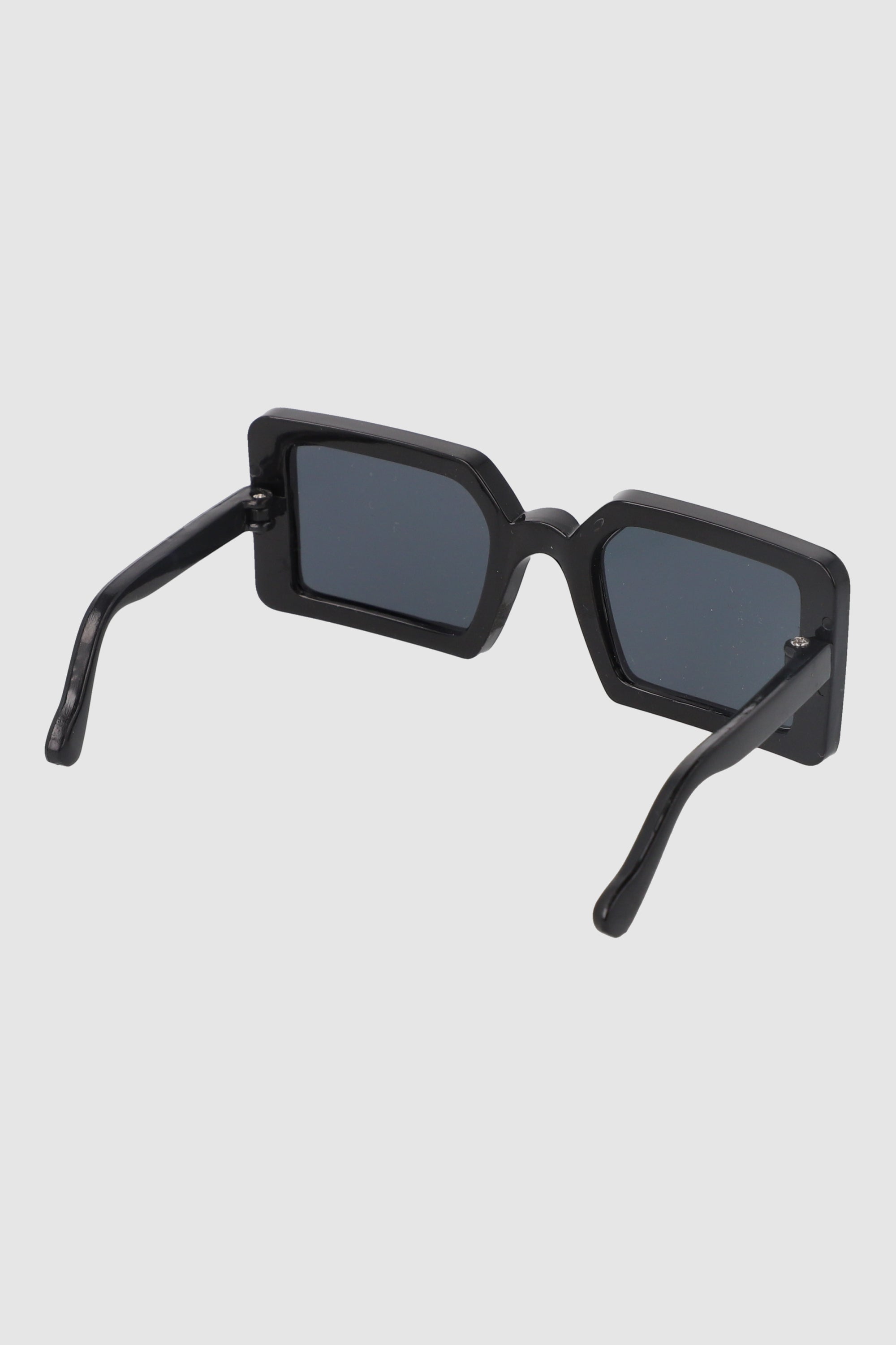 Lentes para mascota NEGRO