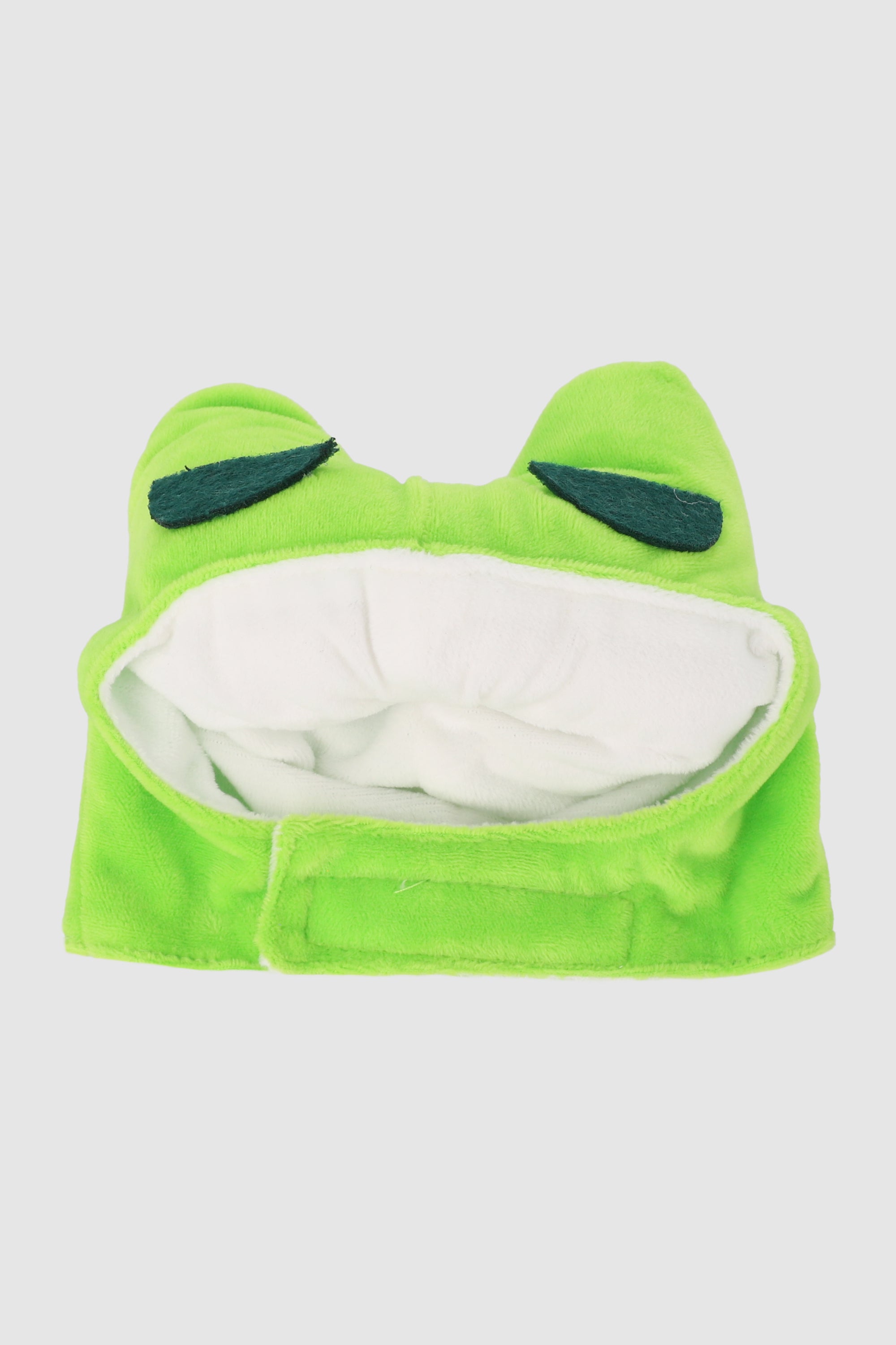 Pet hat GREEN