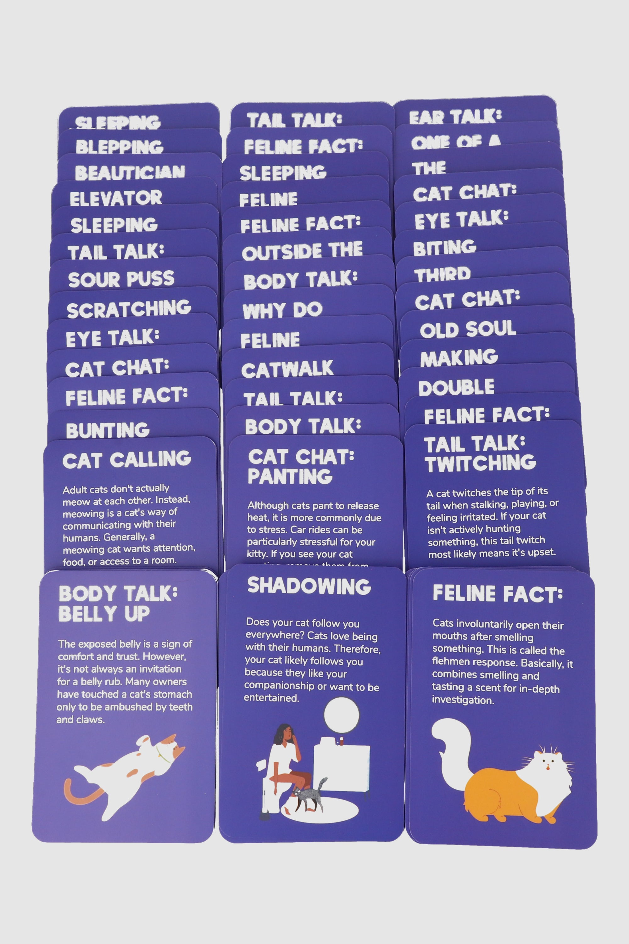 Set 100 cat cards PURPLE