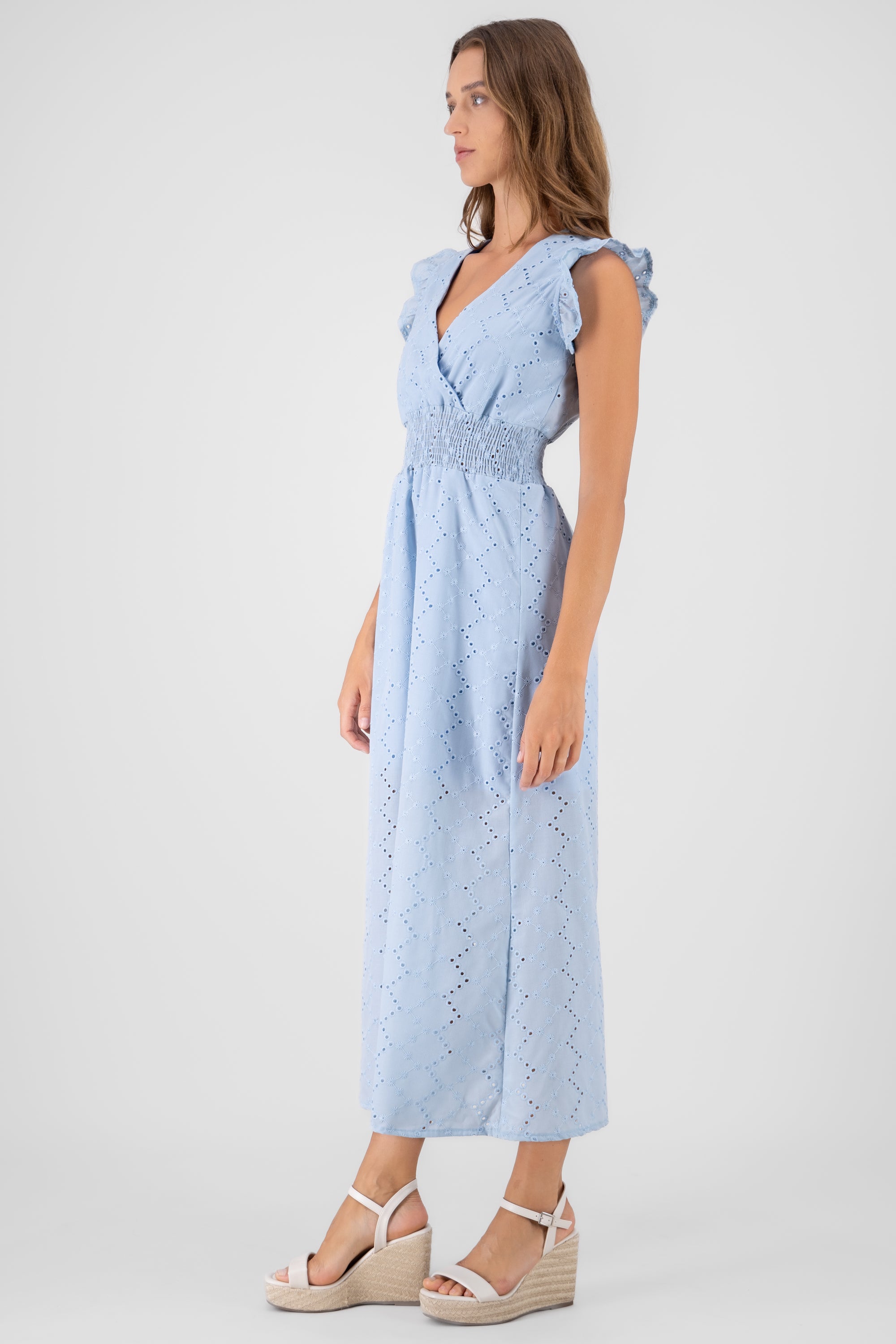 Embroidered Olanes Dress BLUE