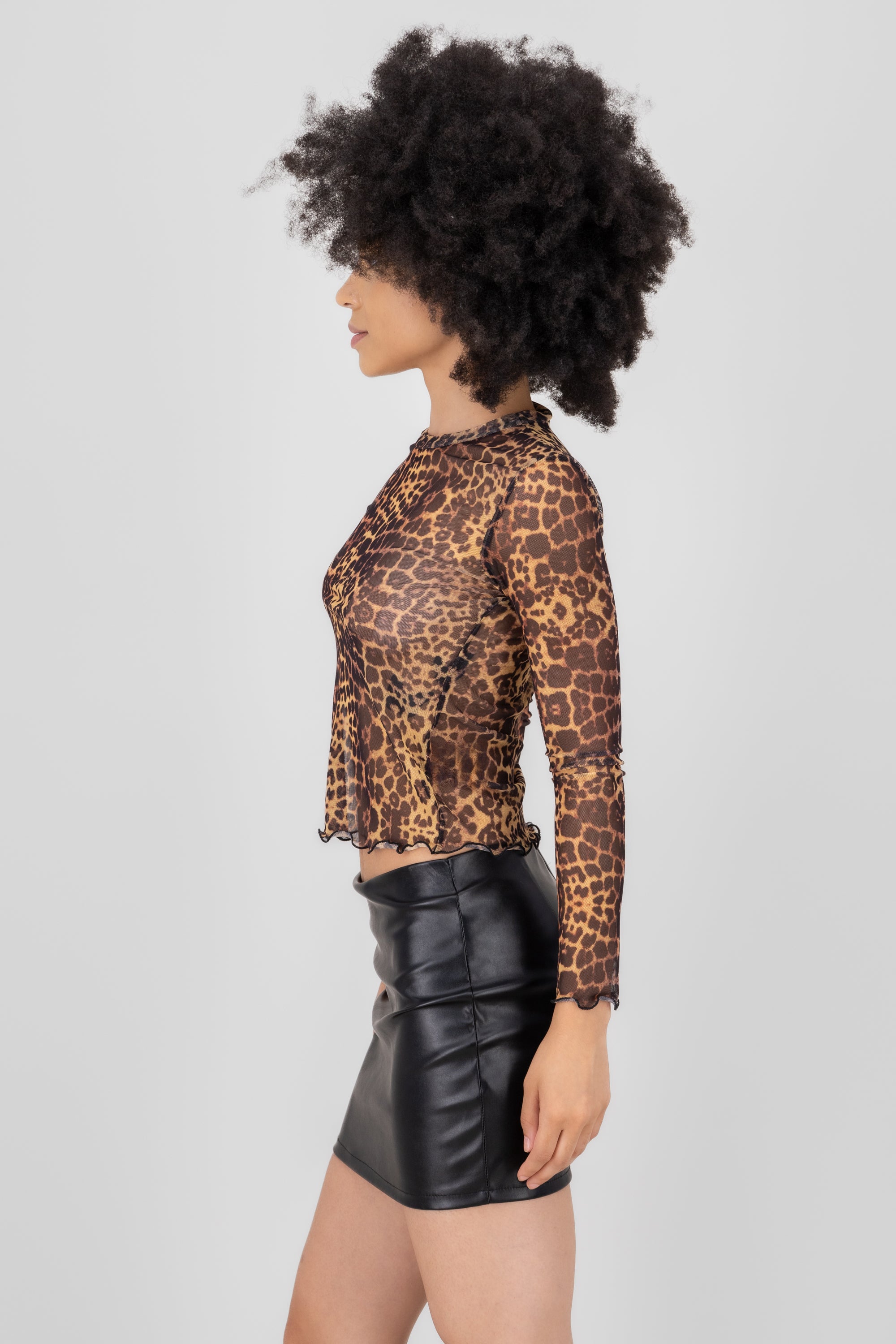 Mesh Animal Print blouse CAFE COMBO