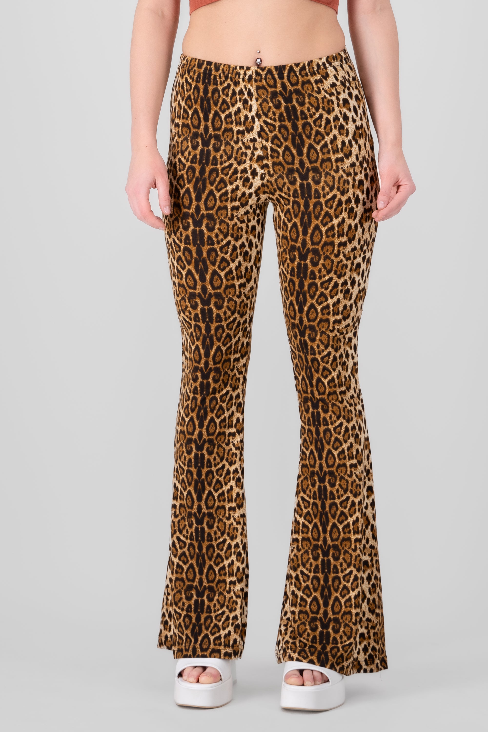 Flare Animal Print pants CAFE COMBO