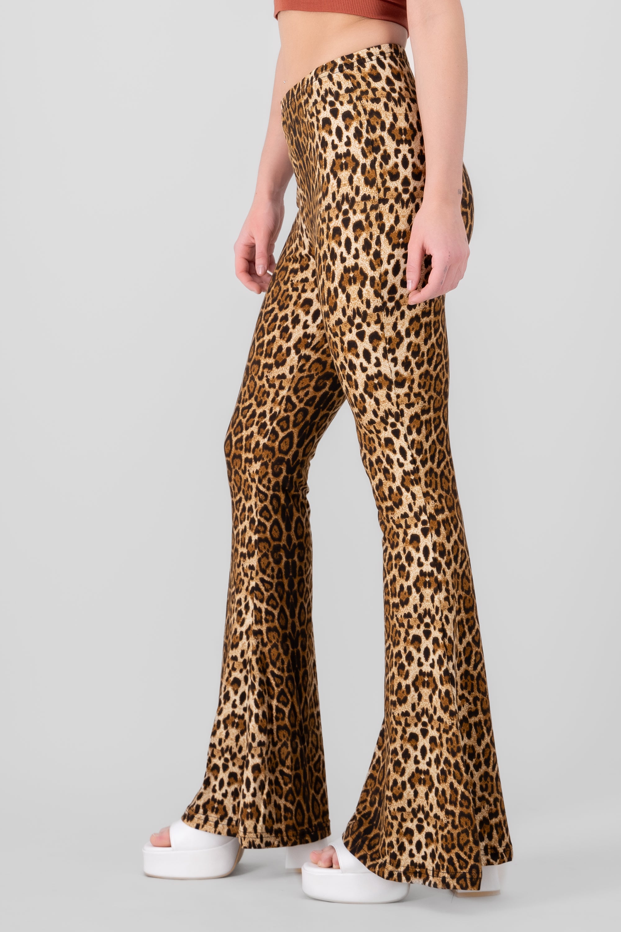 Flare Animal Print pants CAFE COMBO