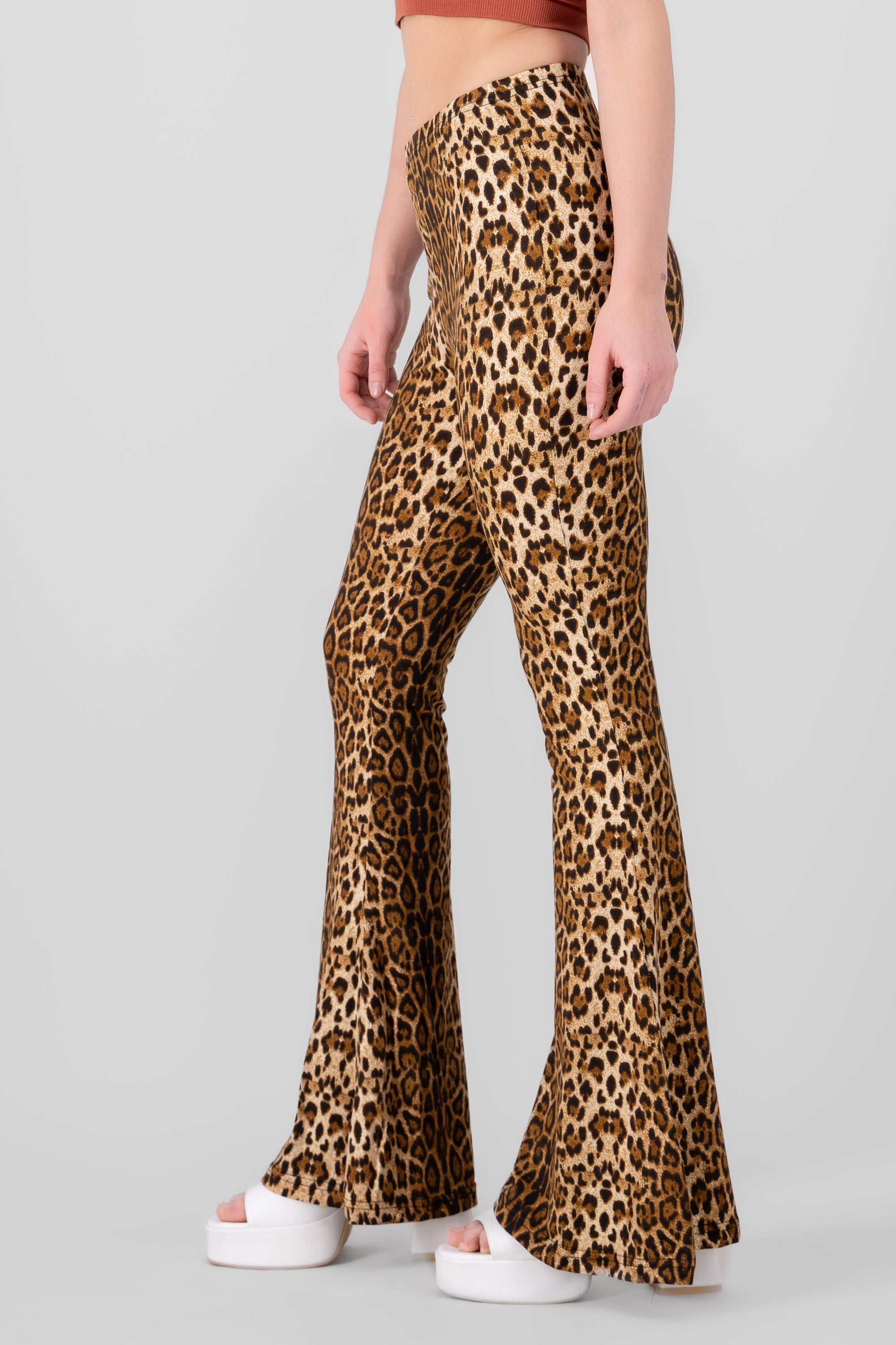 Pantalon flare animal print CAFE COMBO