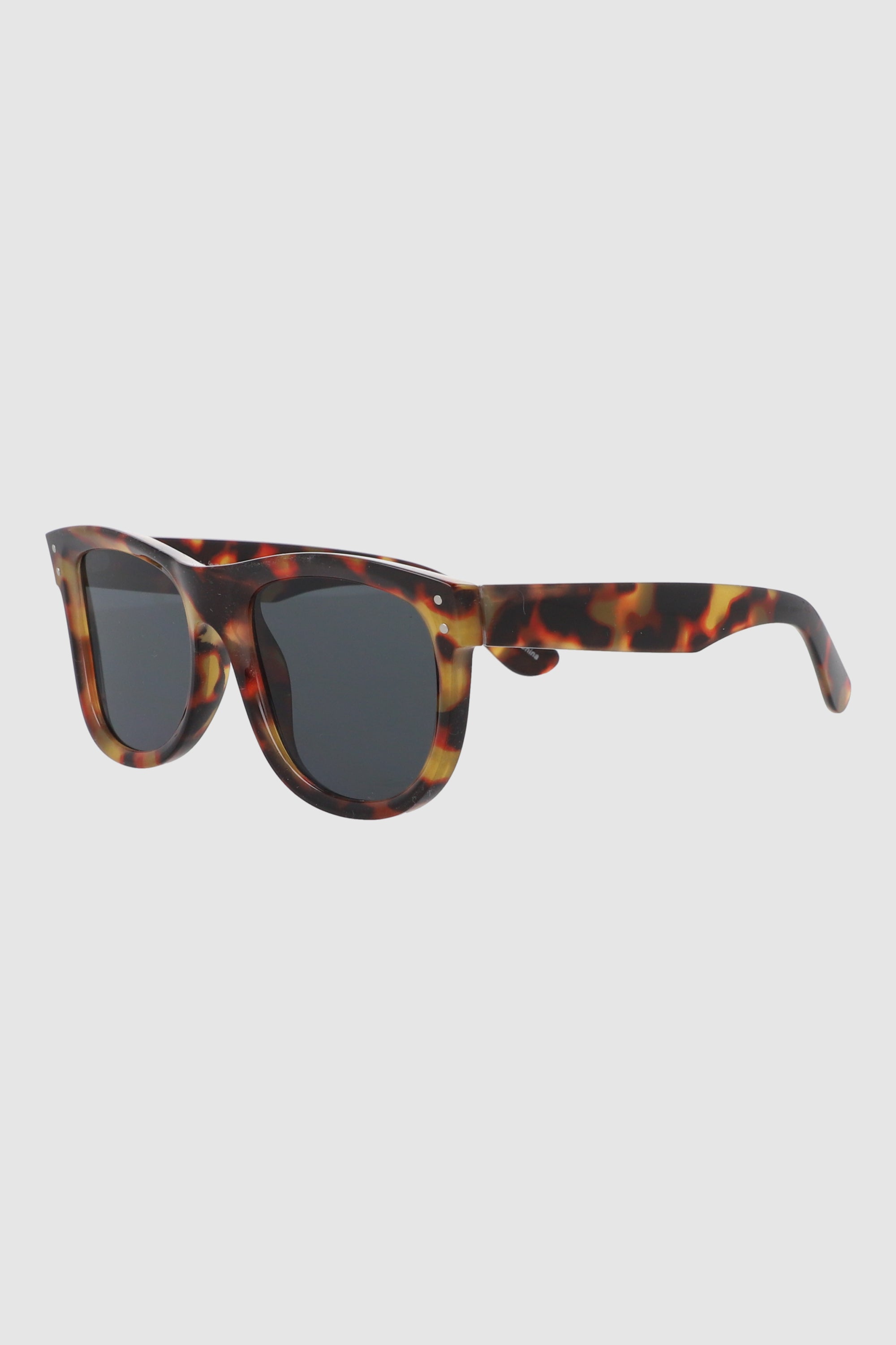 Basic box lenses COFFEE