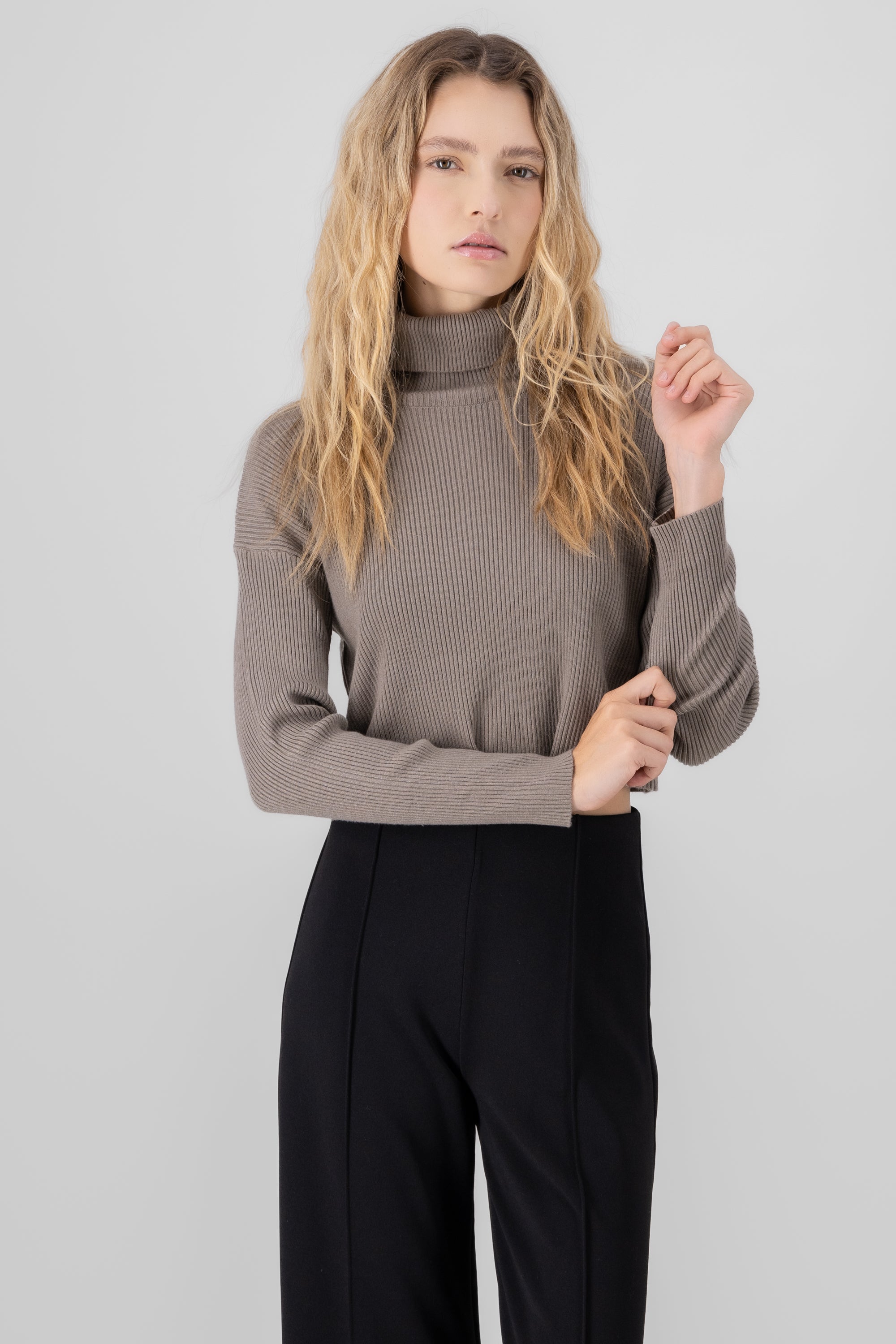 Sueter liso crop cuello alto TAUPE
