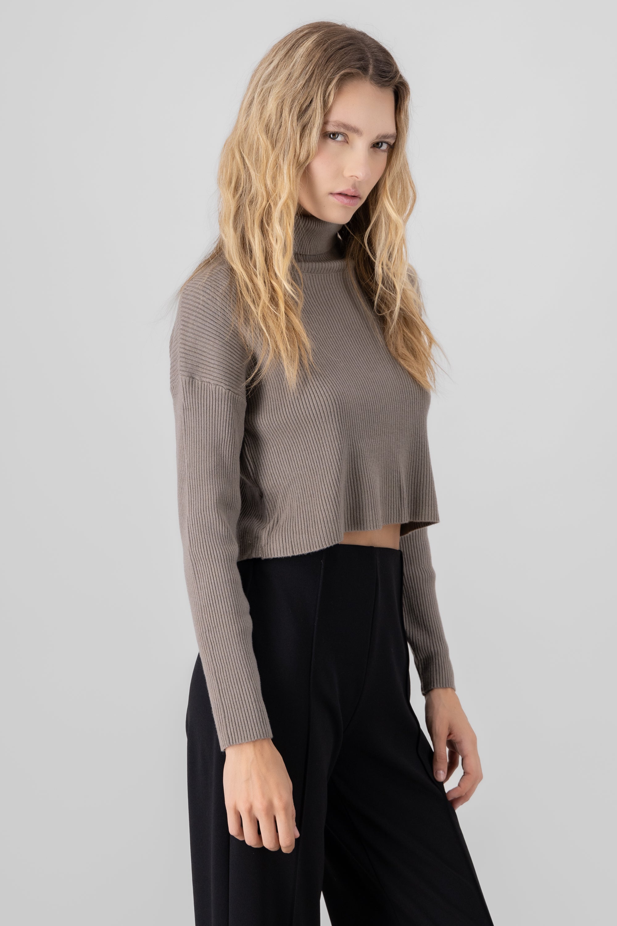 Sueter liso crop cuello alto TAUPE