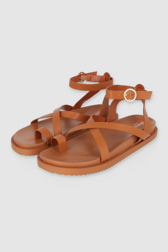 TAN