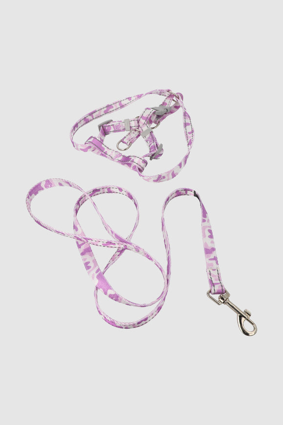 MORADO