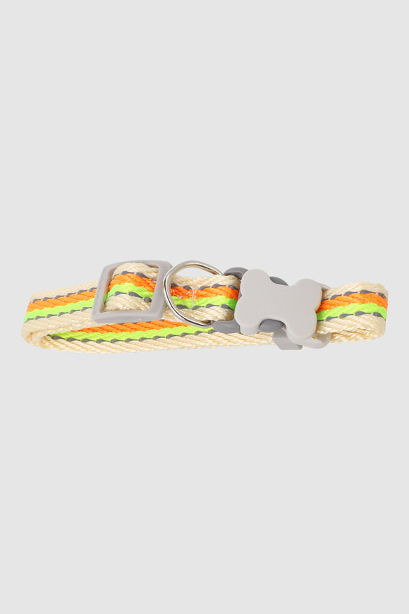 MULTICOLOR BRILLANTE