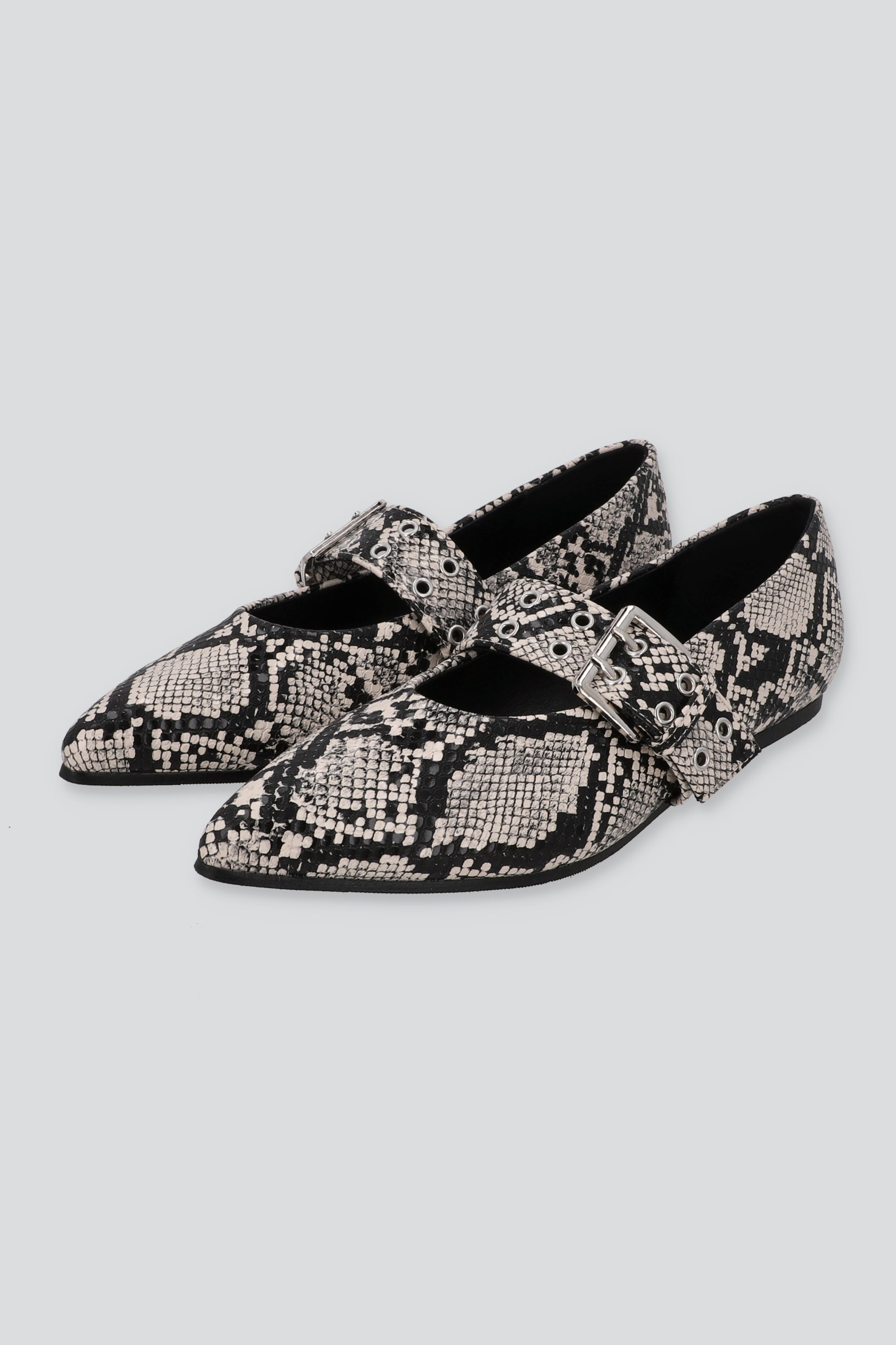 FLAT POINTY SERPIENTE GRIS COMBO