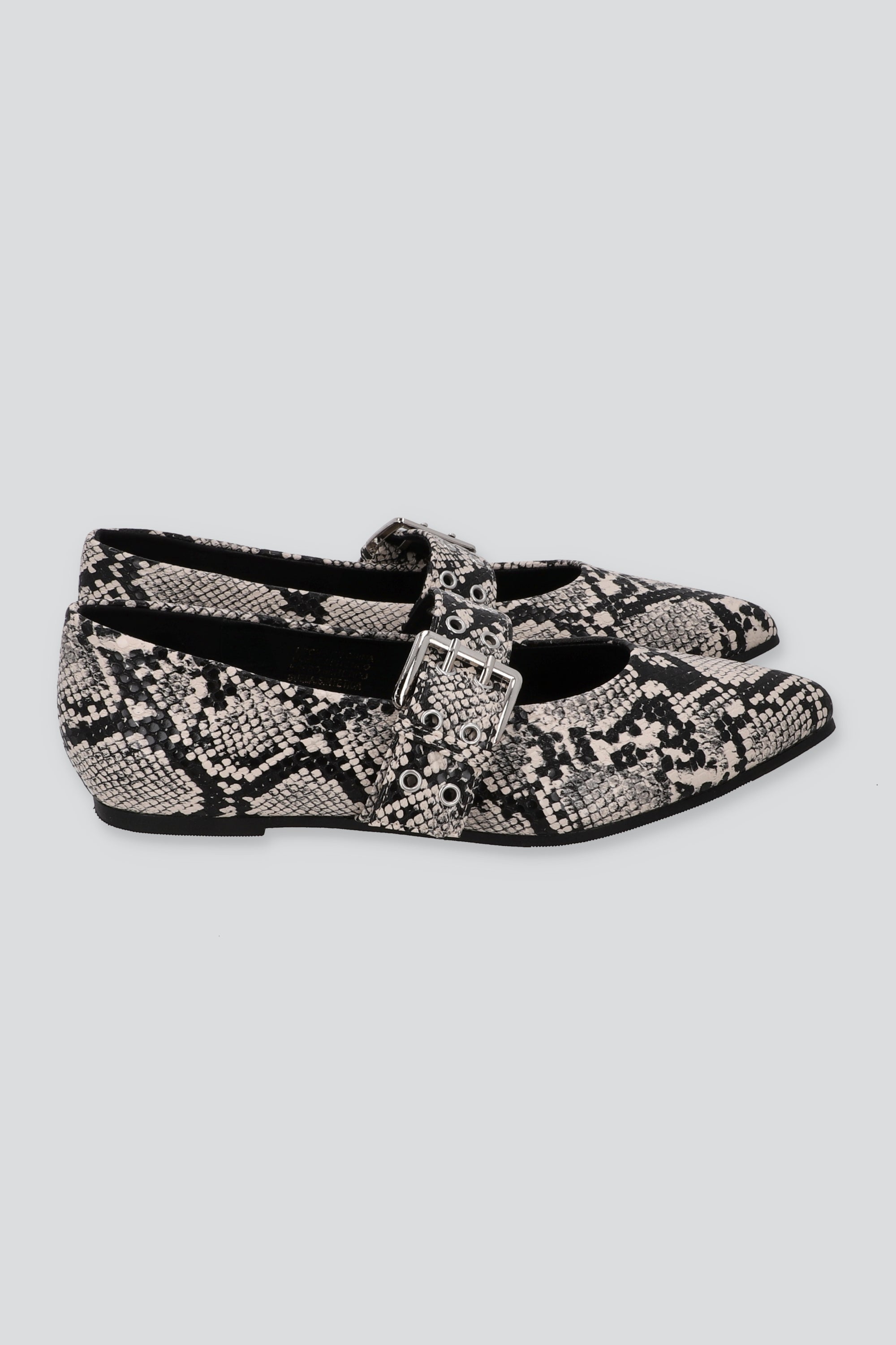 FLAT POINTY SERPIENTE GRIS COMBO