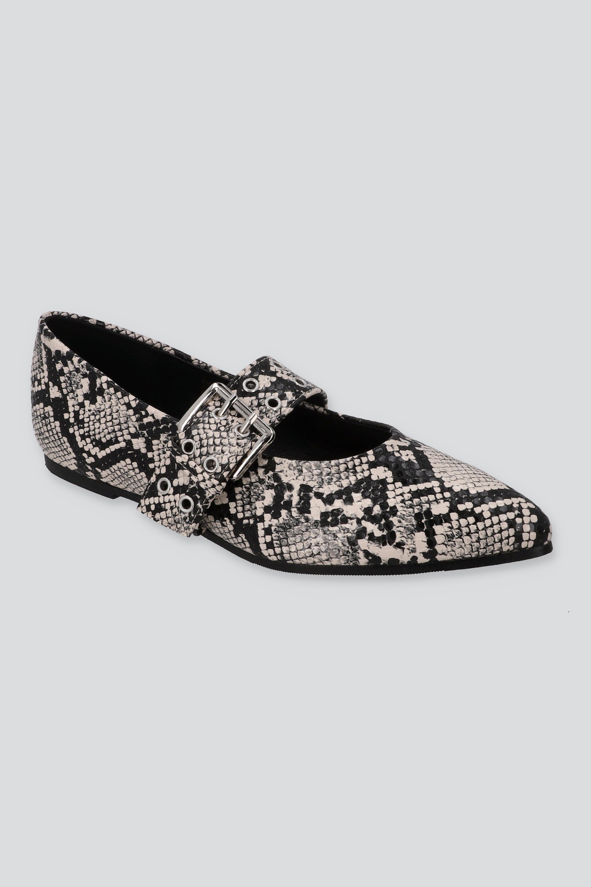 FLAT POINTY SERPIENTE GRIS COMBO